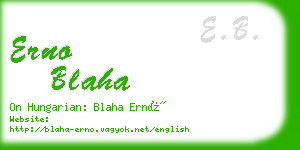 erno blaha business card